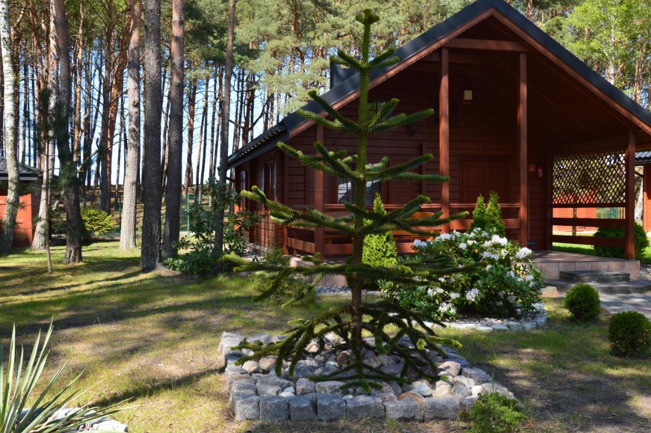 Domki Pod Wydmami 40m od plaży Dźwirzyno Zewnętrze zdjęcie